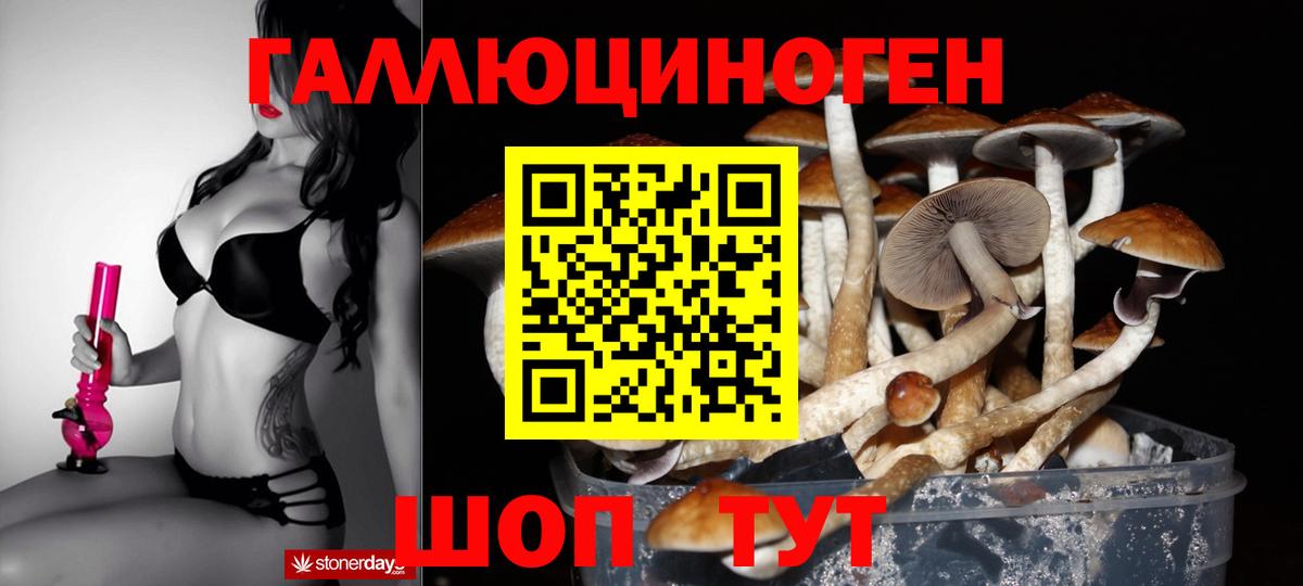 Галлюциногенные грибы Cubensis  Вход с VPN  Крымск 
